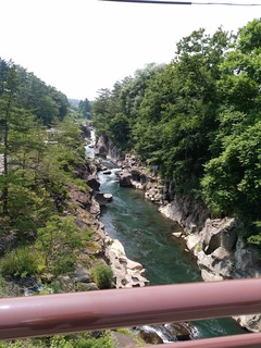 IMG_20170711_123637.jpg