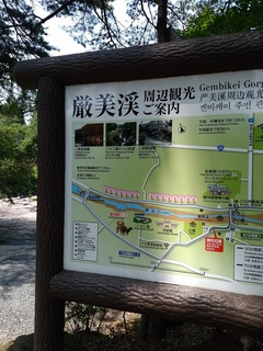 IMG_20170711_124213.jpg